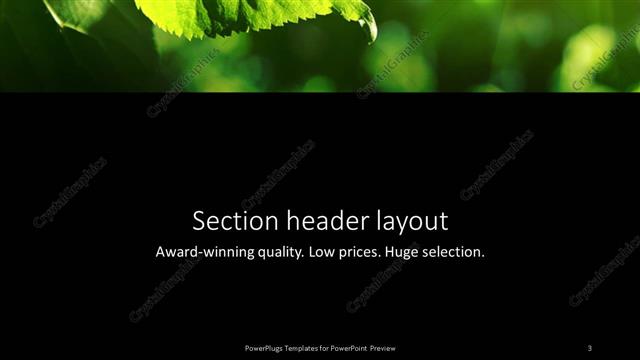Section Header presentation slide layout