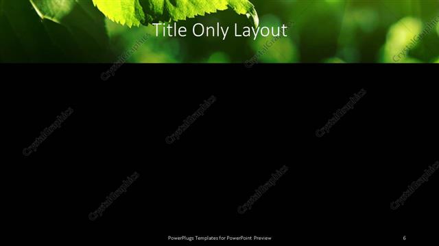 Title Only presentation slide layout