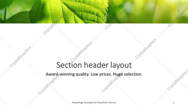 Section Header presentation slide layout