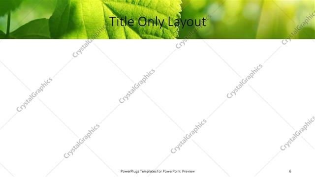 Title Only presentation slide layout