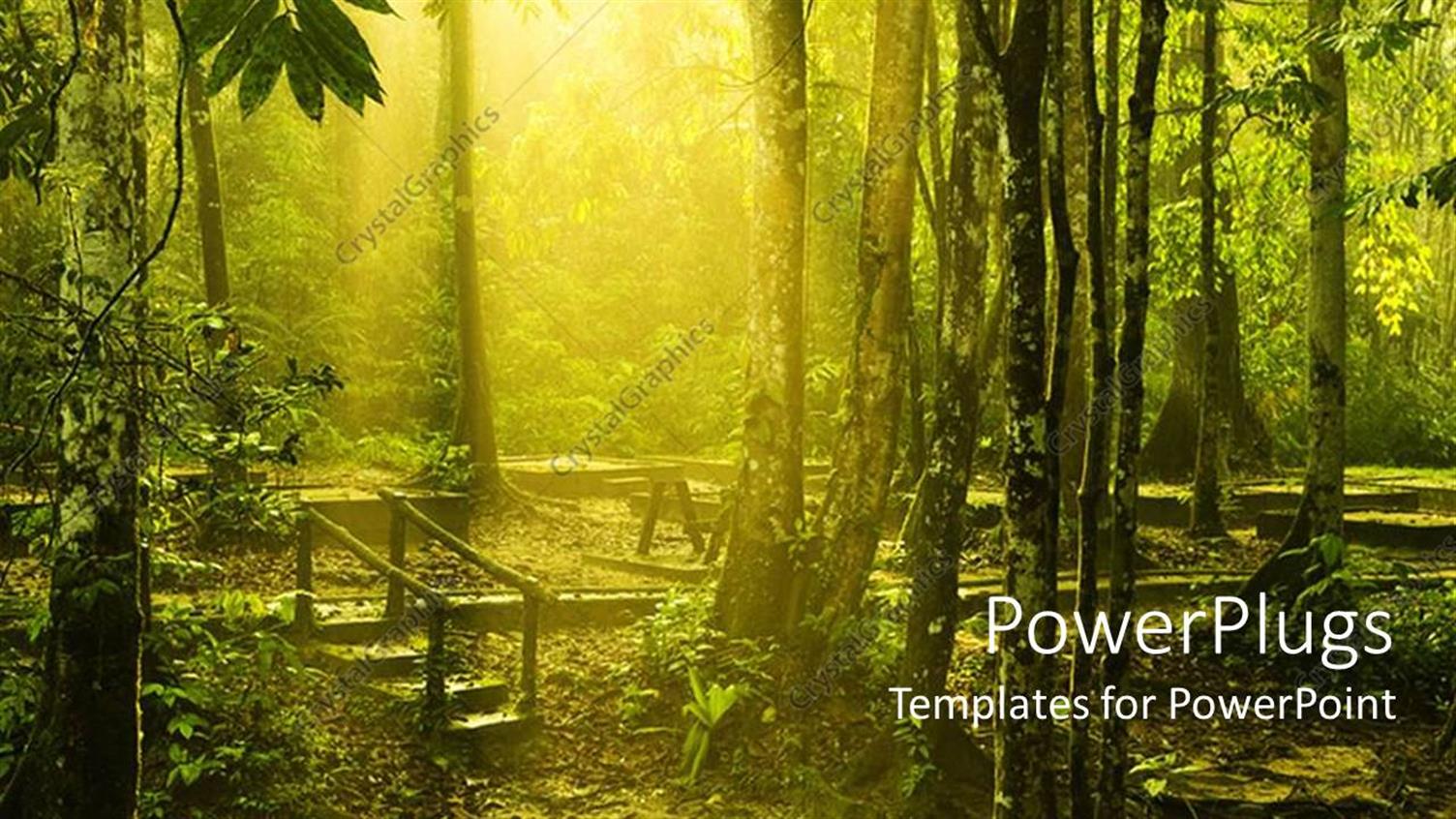 Premium Template for PowerPoint & Google Slides 