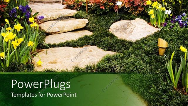  Presentation with flowers - A beautiful natural landscape with lots of colorful flowers