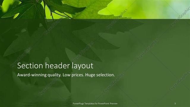 Section Header presentation slide layout