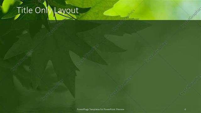 Title Only presentation slide layout