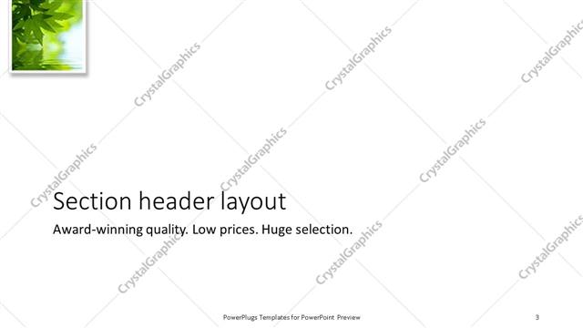 Section Header presentation slide layout