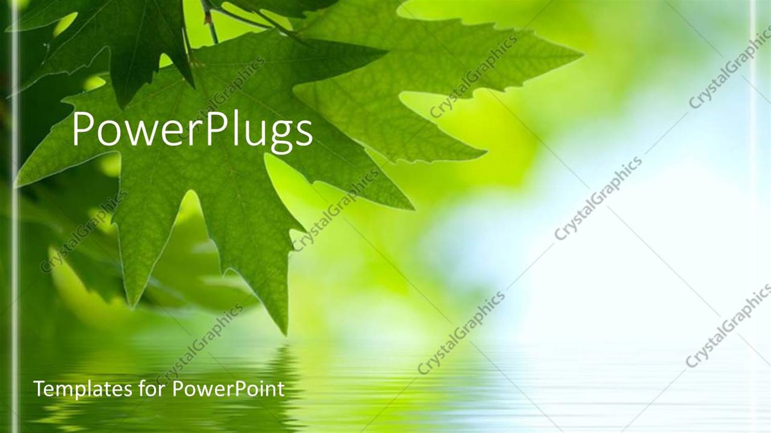 Premium Template for PowerPoint & Google Slides 