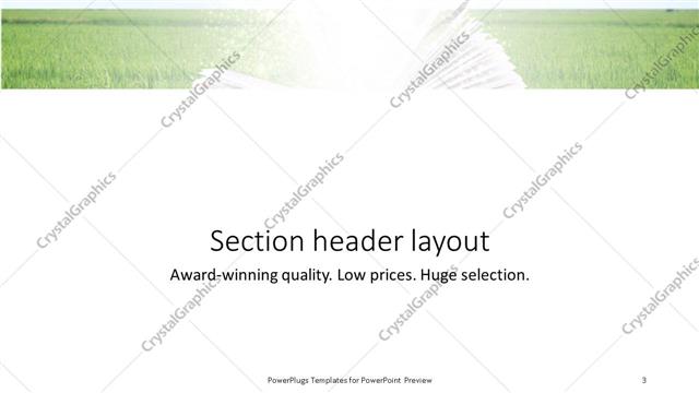 Section Header presentation slide layout