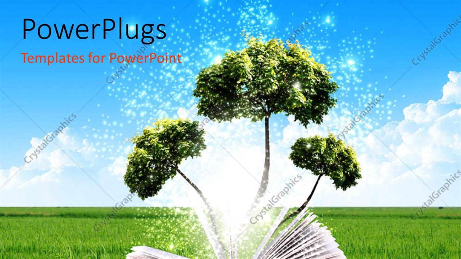 Premium Template for PowerPoint & Google Slides 