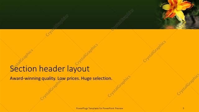 Section Header presentation slide layout