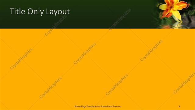 Title Only presentation slide layout