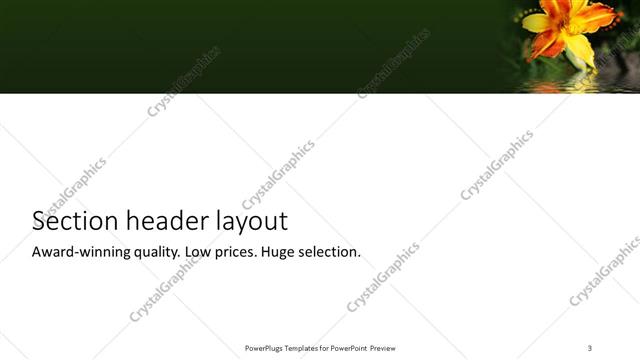 Section Header presentation slide layout