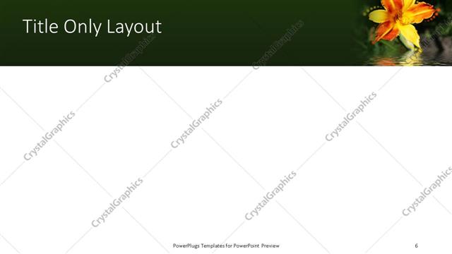 Title Only presentation slide layout