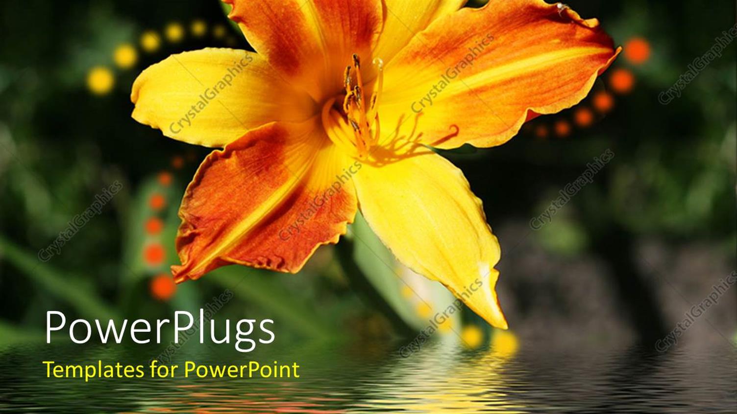 Premium Template for PowerPoint & Google Slides 