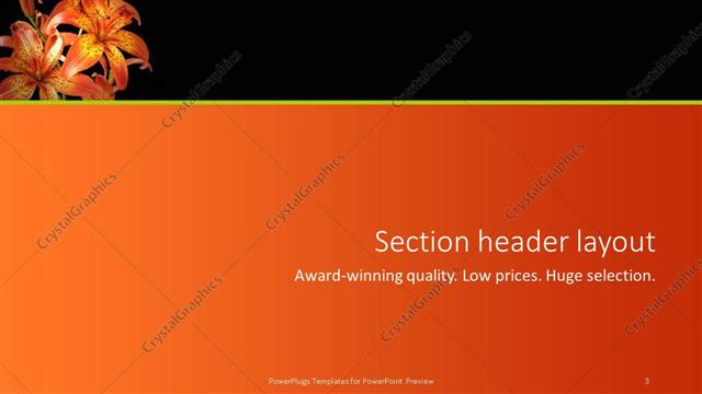 Section Header presentation slide layout