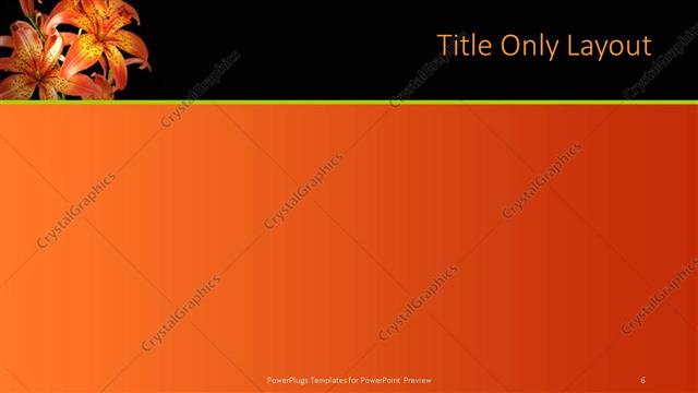 Title Only presentation slide layout