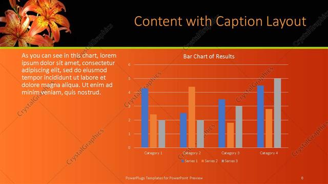 Content with Caption presentation slide layout