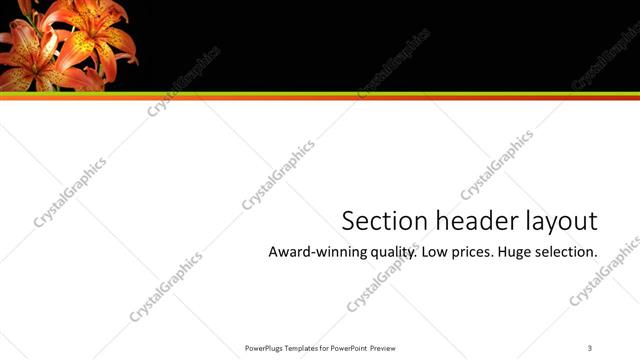 Section Header presentation slide layout