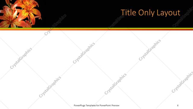 Title Only presentation slide layout