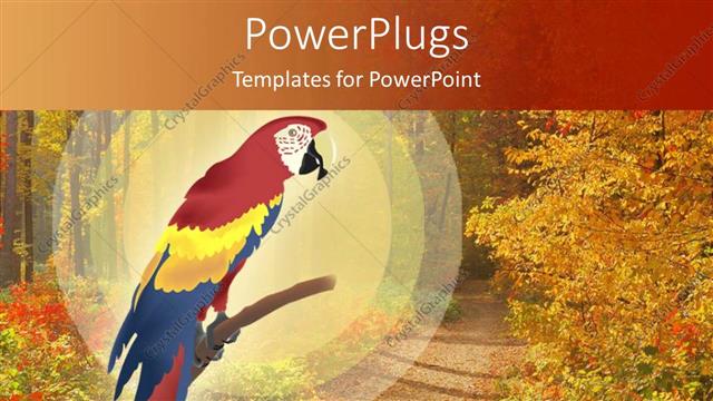  Presentation with parrot - A beautiful parrot with greenery in the background