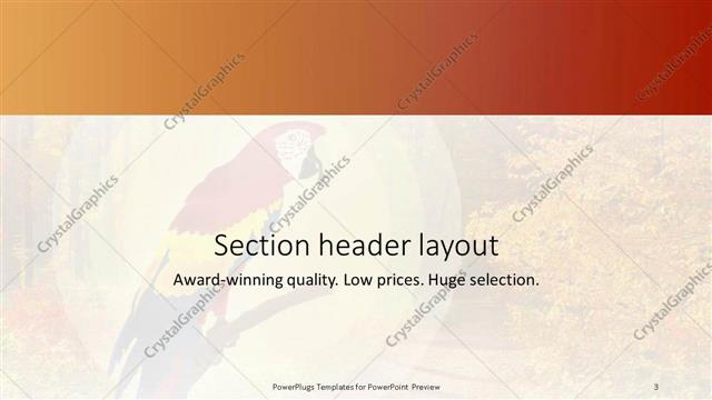 Section Header presentation slide layout