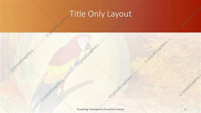 Title Only presentation slide layout