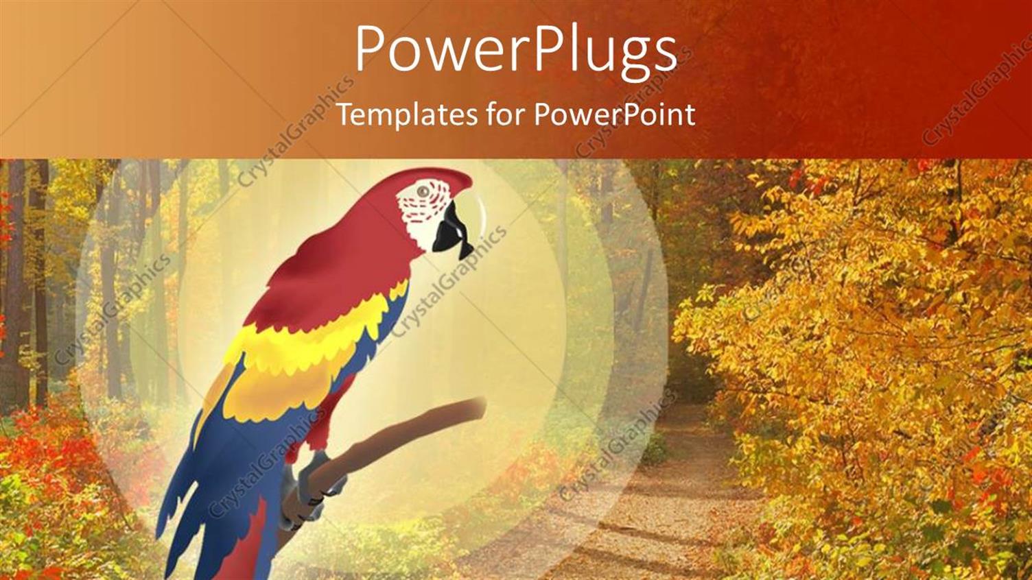 Premium Template for PowerPoint & Google Slides 