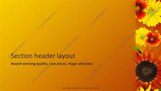 Section Header presentation slide layout