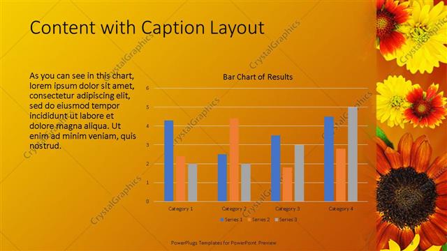 Content with Caption presentation slide layout