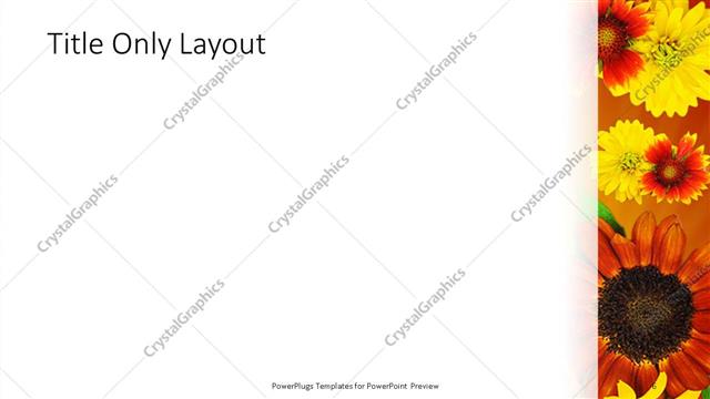 Title Only presentation slide layout