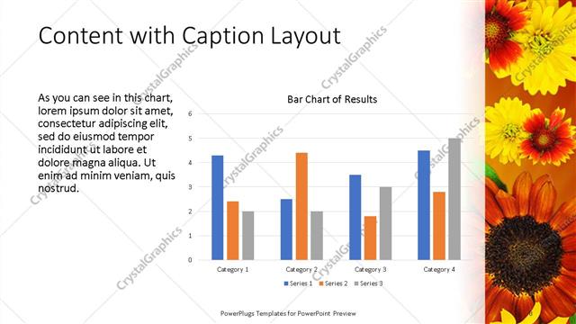 Content with Caption presentation slide layout
