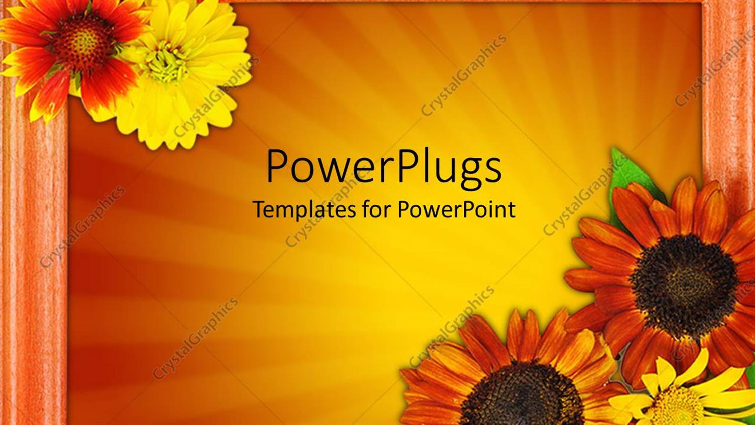 Premium Template for PowerPoint & Google Slides 