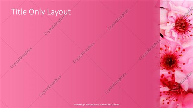 Title Only presentation slide layout