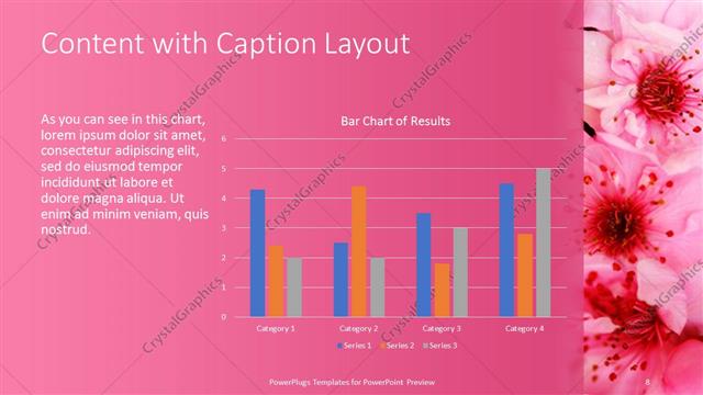Content with Caption presentation slide layout