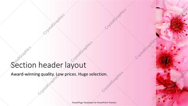 Section Header presentation slide layout