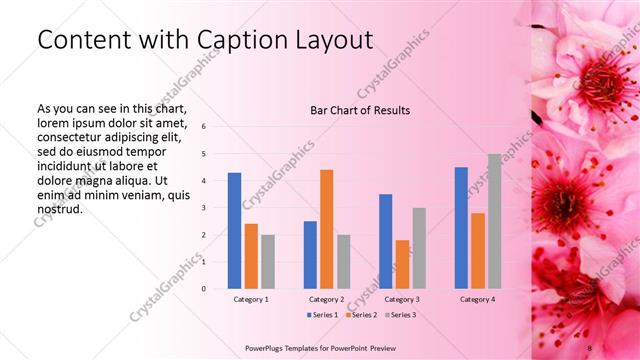 Content with Caption presentation slide layout