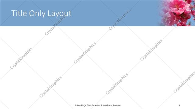 Title Only presentation slide layout