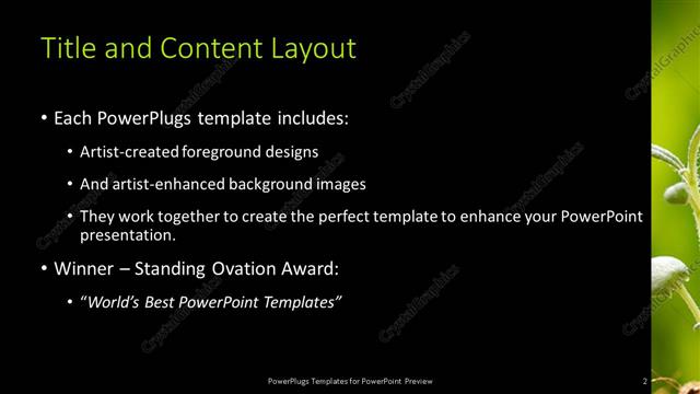 Title and Content presentation slide layout