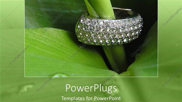  Presentation with luxury - A beautiful plant with jewelry placed on it and green background