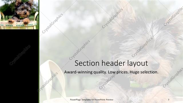 Section Header presentation slide layout