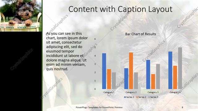 Content with Caption presentation slide layout