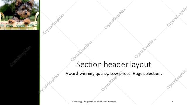 Section Header presentation slide layout