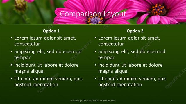 Comparison presentation slide layout