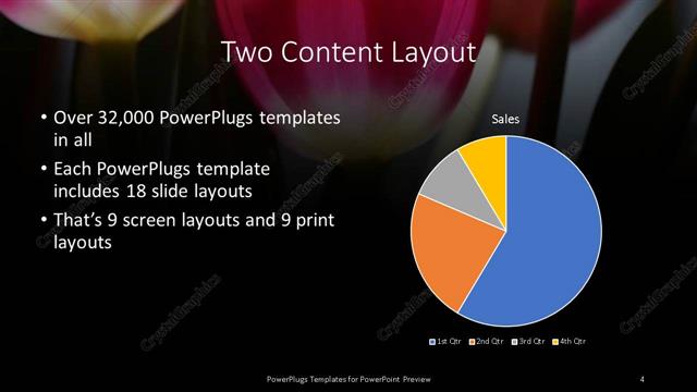 Two Content presentation slide layout
