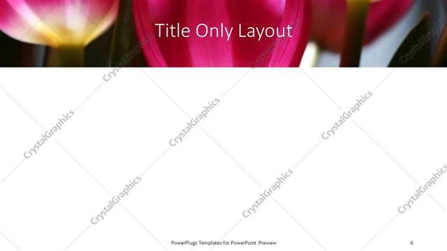 Title Only presentation slide layout