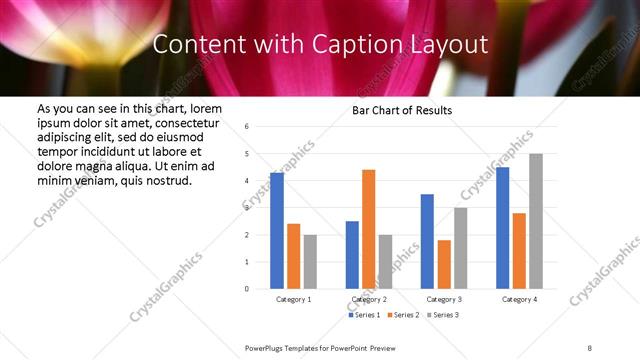 Content with Caption presentation slide layout