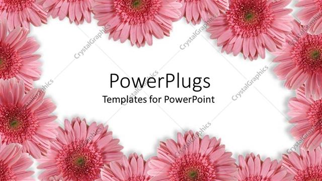  Presentation with white flower frame - Beautiful red flowery frames bordering white background