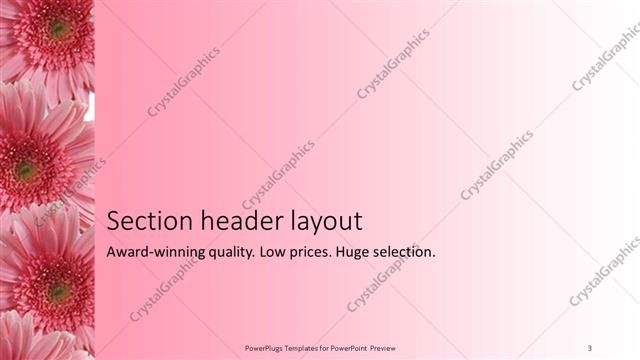Section Header presentation slide layout