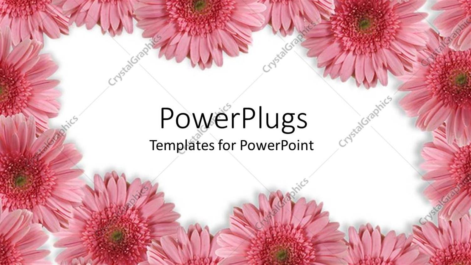 Featuring Beautiful Red Flowery Frames Bordering White Background