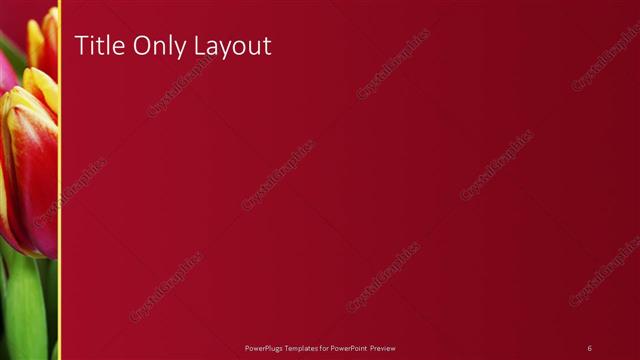 Title Only presentation slide layout