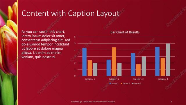 Content with Caption presentation slide layout